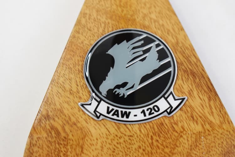 VAW-120 Greyhawks E-2c (2010) Hawkeye Model