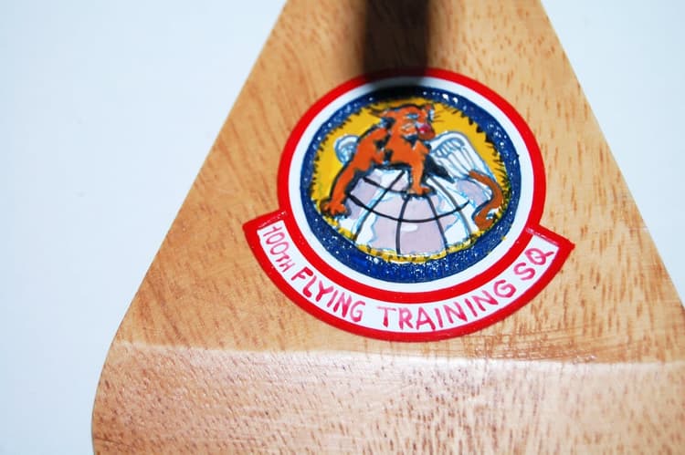 100th Flying Training Squadron T-38