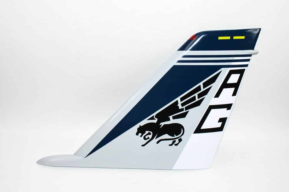 VF-143 Pukin Dogs F-14 Tomcat Tail