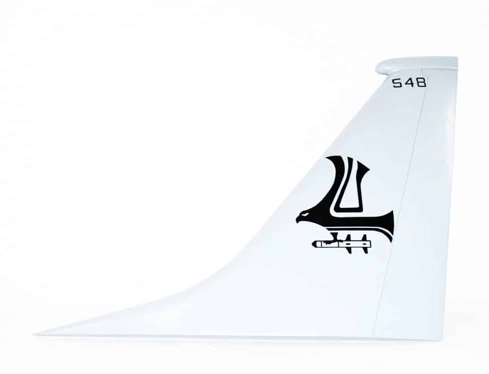 VP-9 Golden Eagles P-8 Tailflash